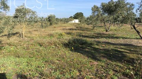 Foto 5 von Country house zum Verkauf in Almonte ciudad, Almonte