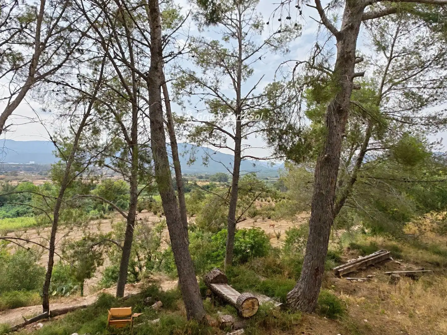 Villa in vendita a Freixa, imagen 48