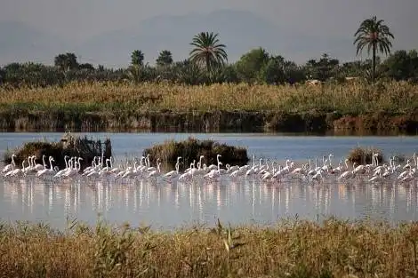 Xalet en venda a Carrer Canal, imagen 4