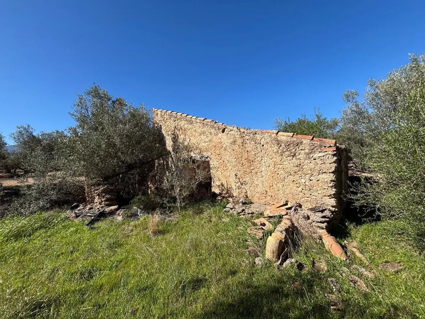 Terrain rustique à vendre à Roquetes, imagen 3
