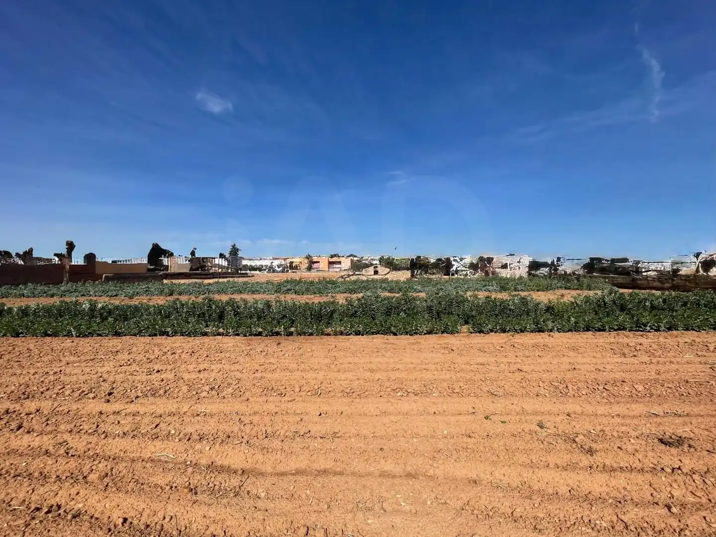 Residential land for sale in Marítima Sud, imagen 18
