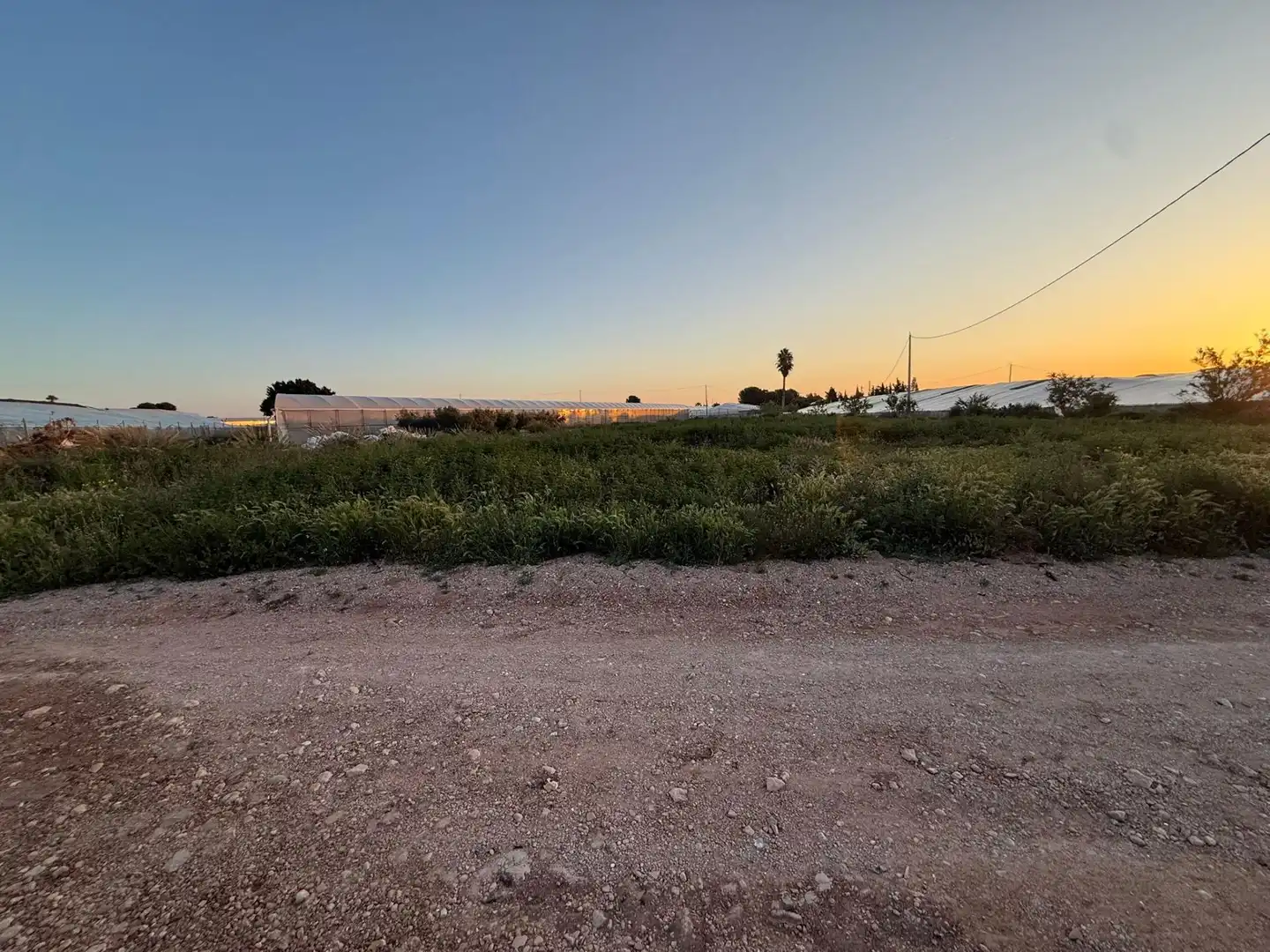 Terreny rústic en venda a El Mirador Pozo Aledo, imagen 2