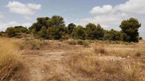 Terreno con gran potencial urbanizable a solo 10 minutos de Pinoso., immagine 4