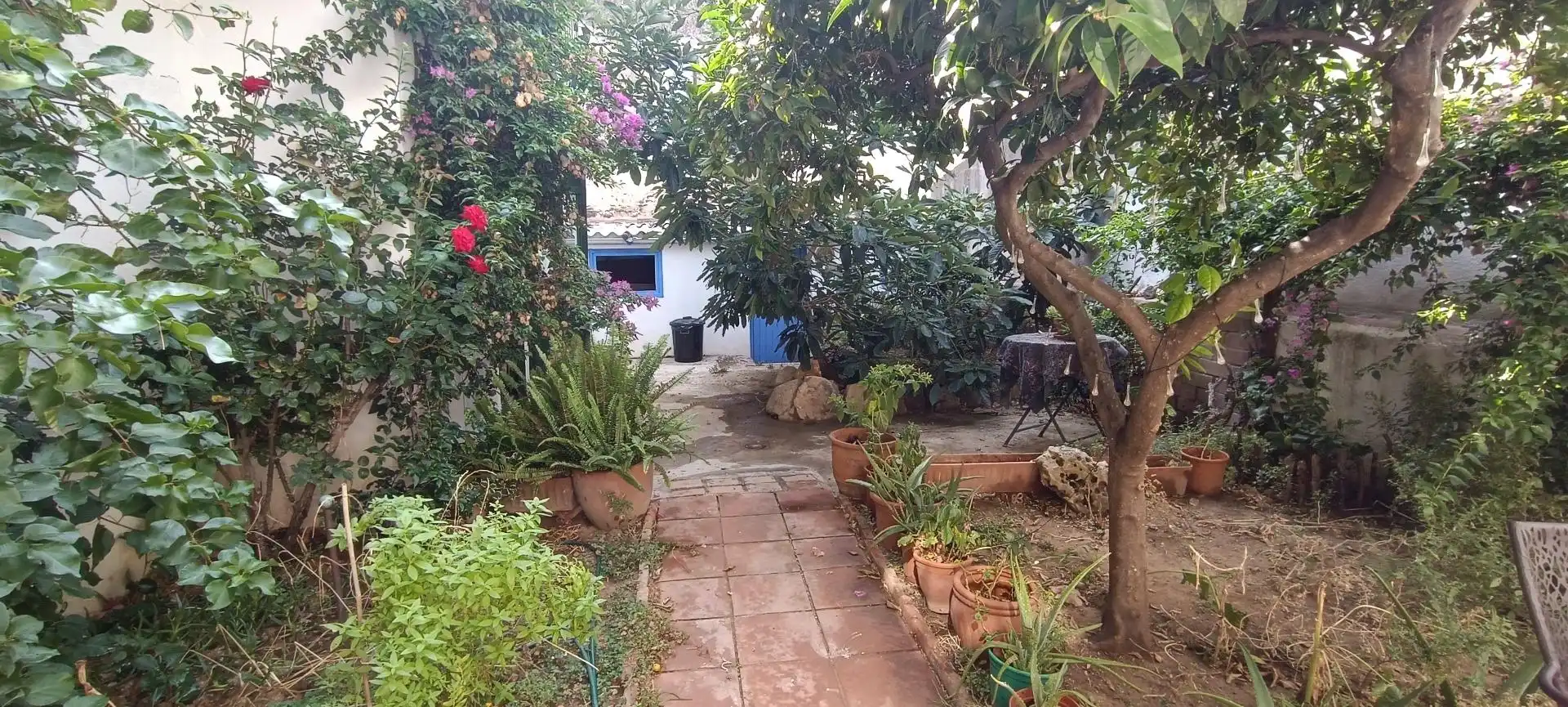 House with terrace for sale in Poble, imagen 3