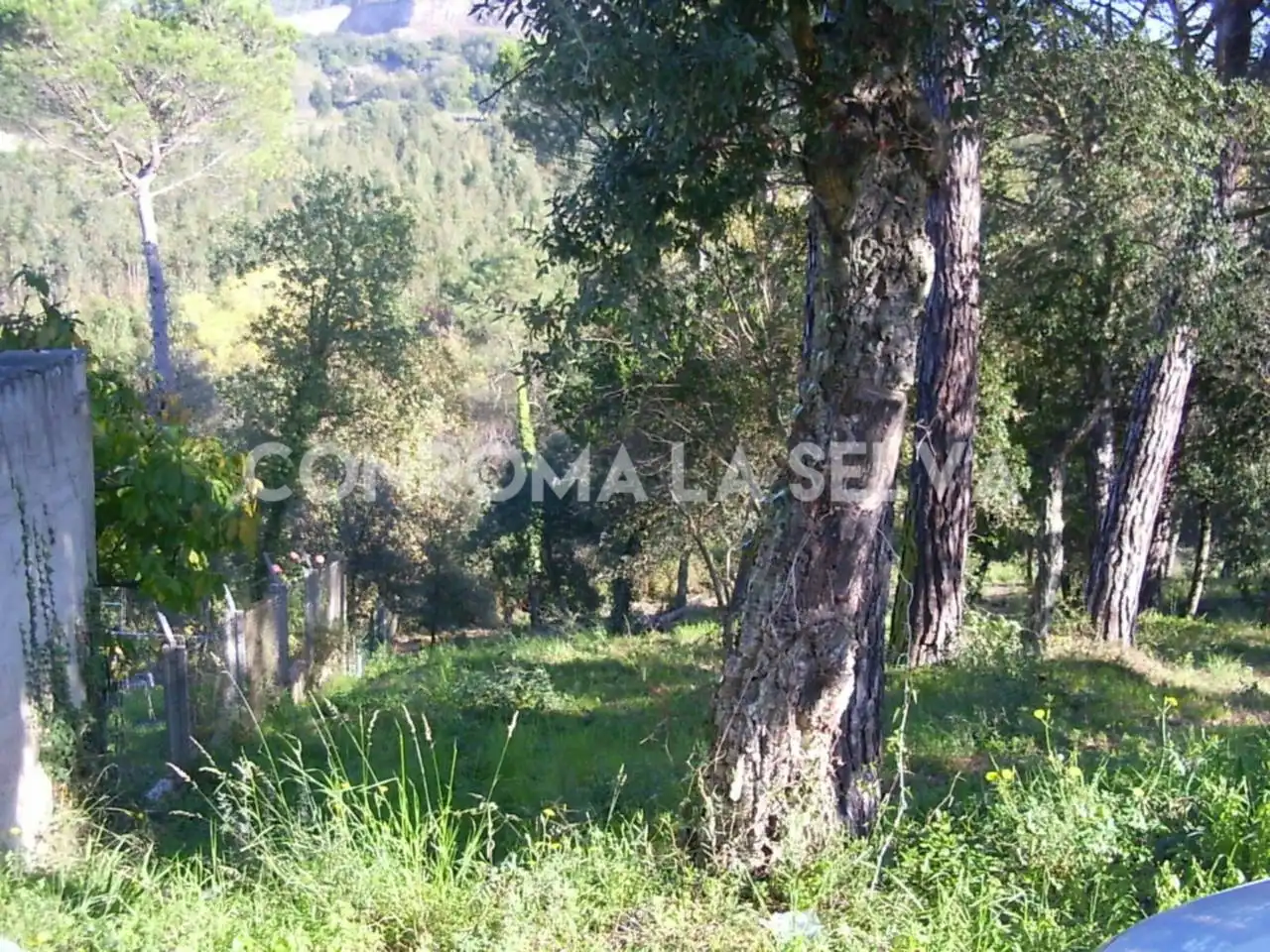 Residential land for sale in Residencial Park, imagen 5