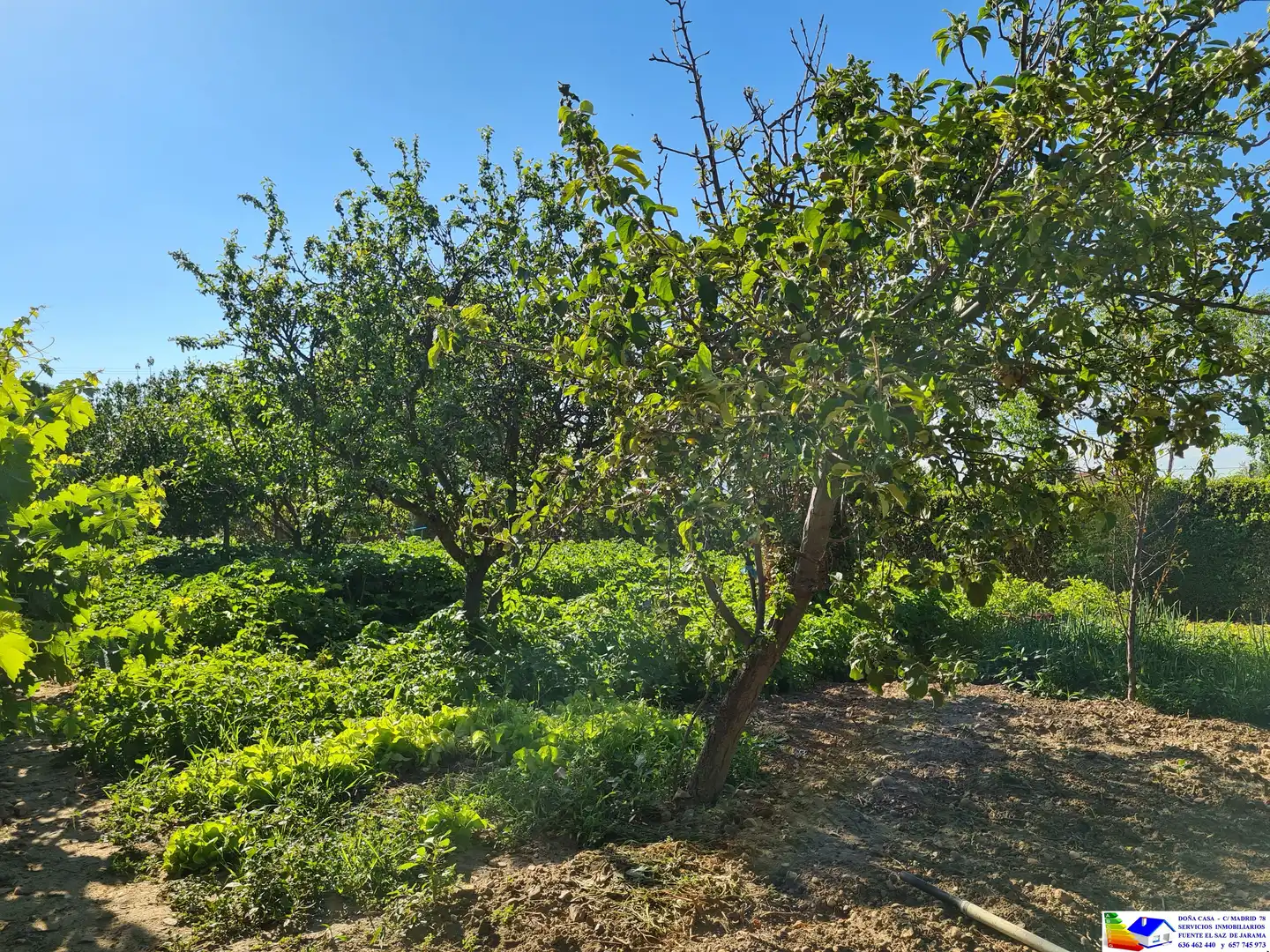 Casa o chalet en venta en Fuente El Saz de Jarama con Aire acondicionado, Calefacción y Jardín privado