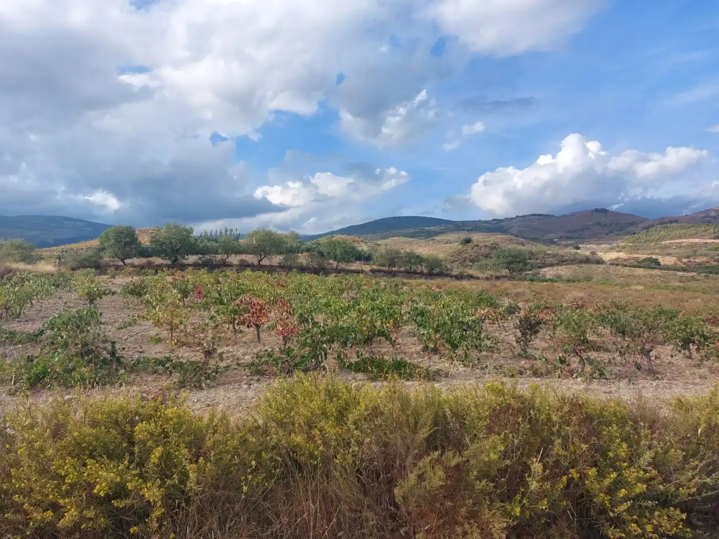Casa rústica en venda a Laujar de Andarax, imagen 8