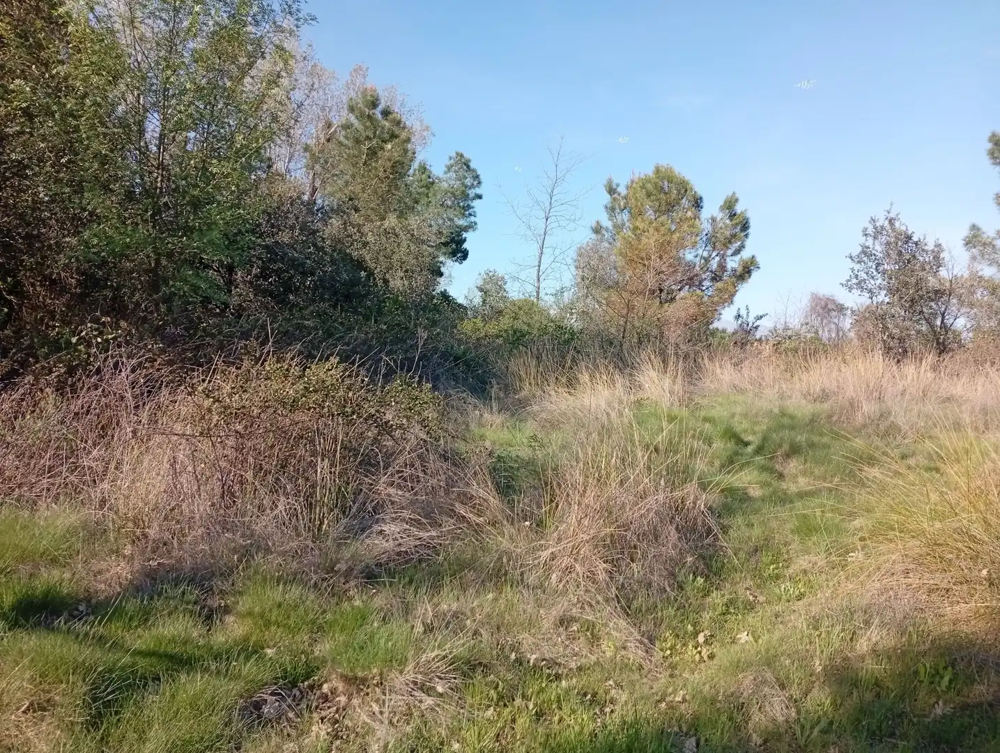 Terreni e lotti in vendita a Villanueva de la Vera, imagen 37