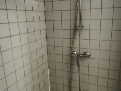 Bathroom of Flat for rent in Centro