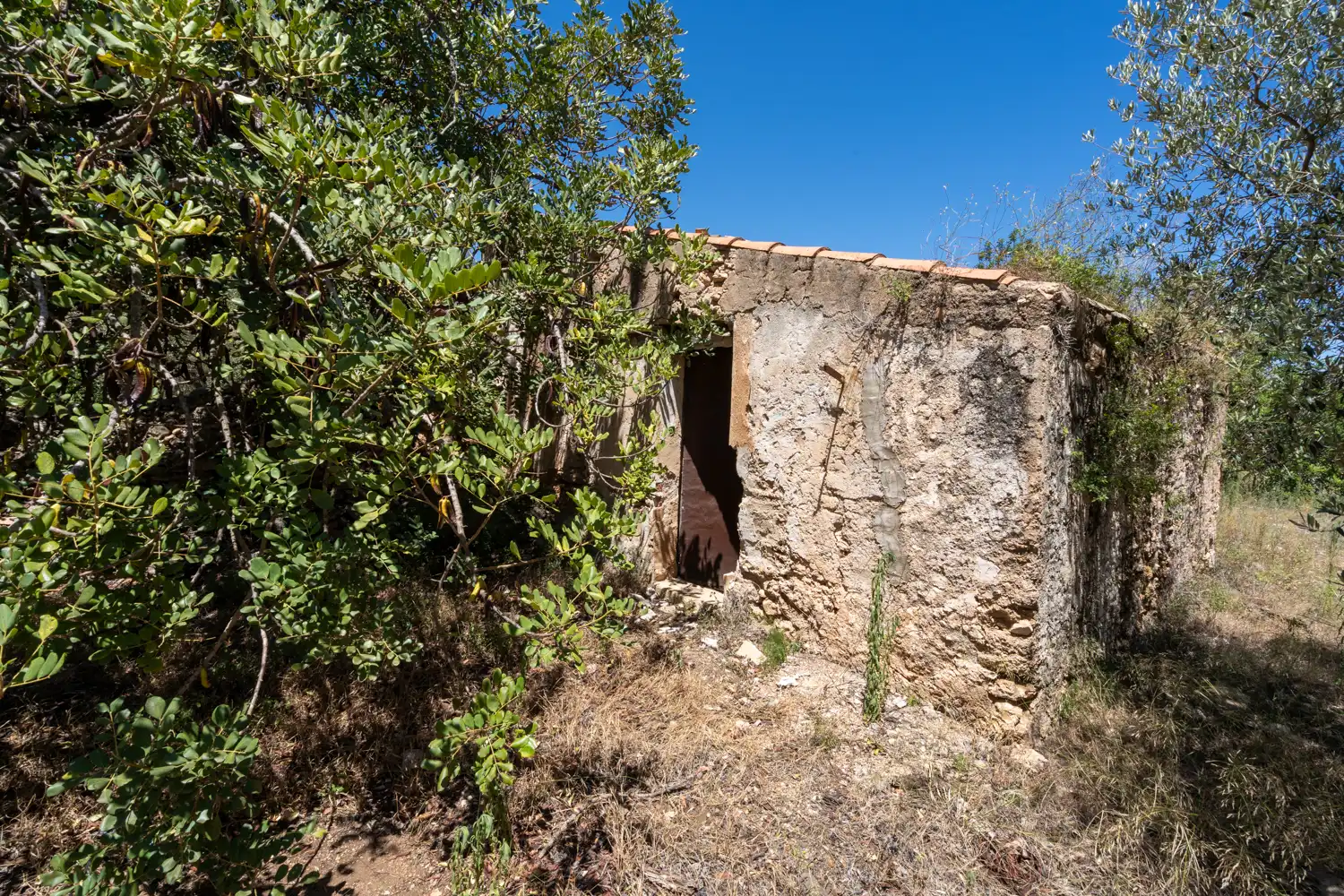 Terreno rustico in vendita a Roquetes, imagen 4
