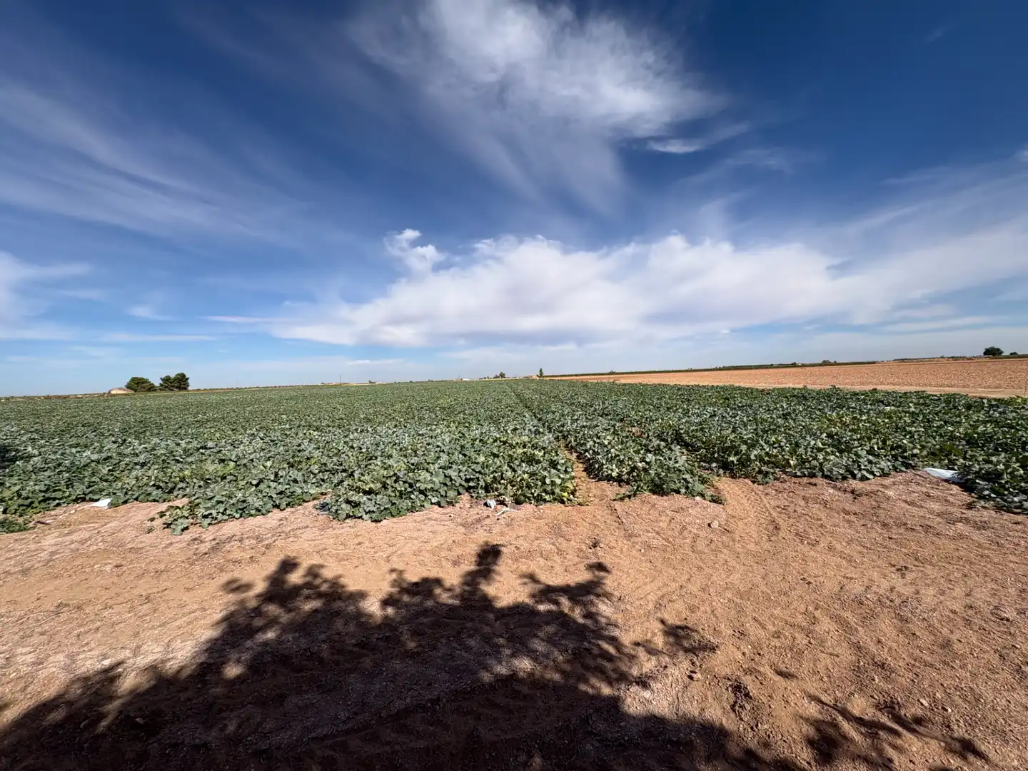 Rural land for sale in CM-400 580, imagen 14