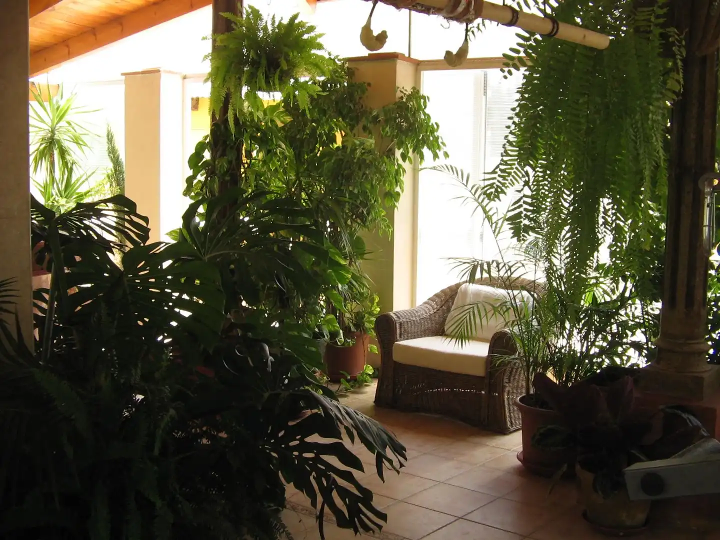 Xalet amb jardí en venda a El Rosario 429, imagen 17