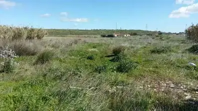 Terreny residencial en venda a Villanueva de la Serena, imagen 2