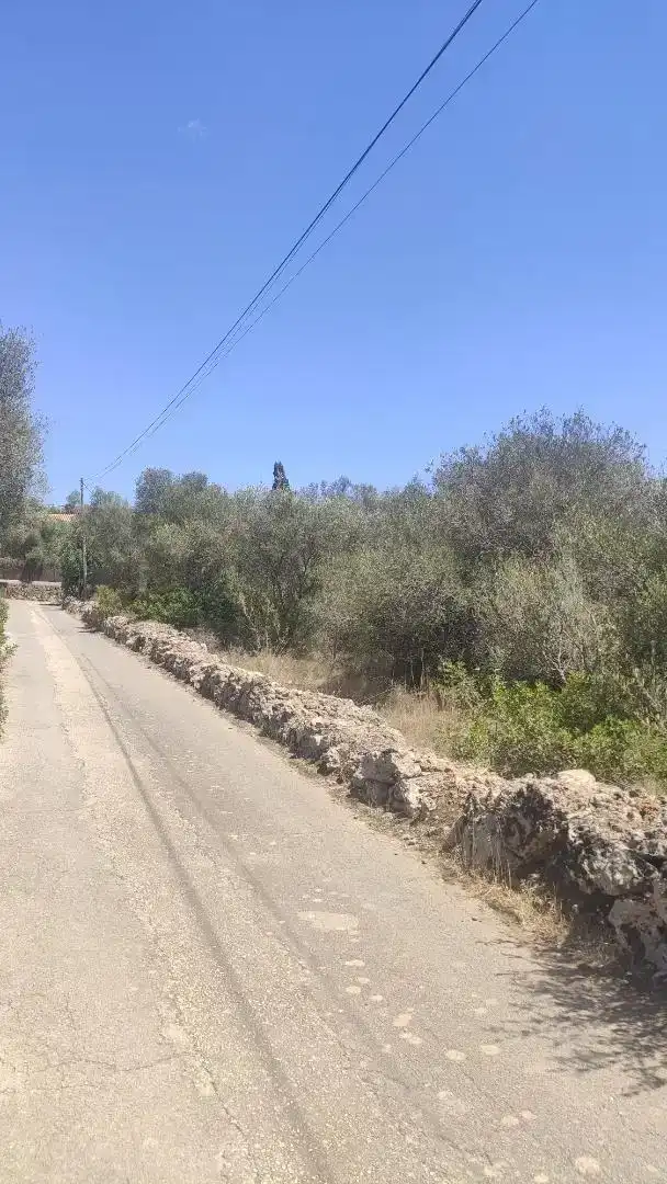 Terreny en venda en Marratxí