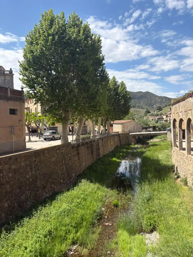 Vista exterior de Casa o chalet en venta en Porrera con Terraza y Amueblado