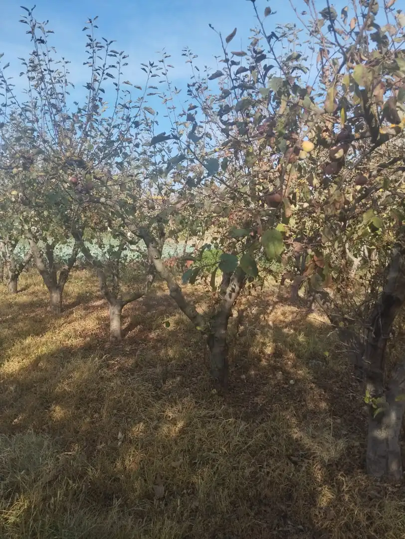 Terreni e lotti in vendita a La Portalada - Varea, imagen 12