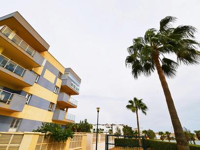 Vista exterior de Àtic en venda en El Ejido amb Aire condicionat i Terrassa
