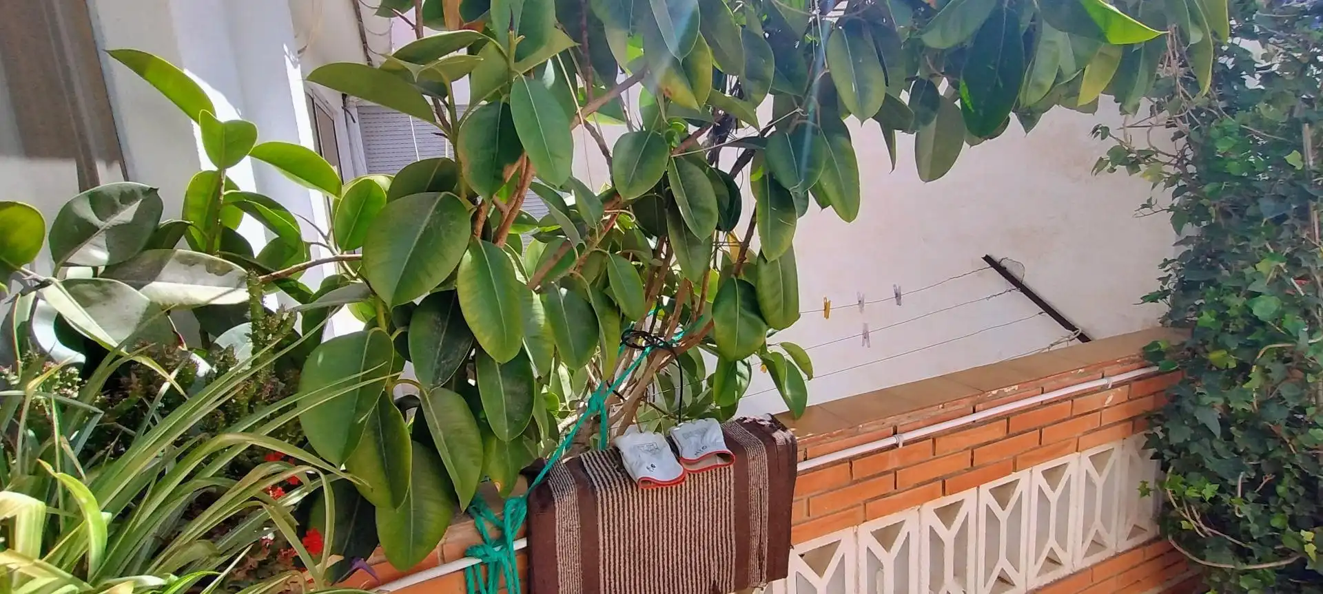 Terraza de Casa o chalet en venta en Petrer con Aire acondicionado