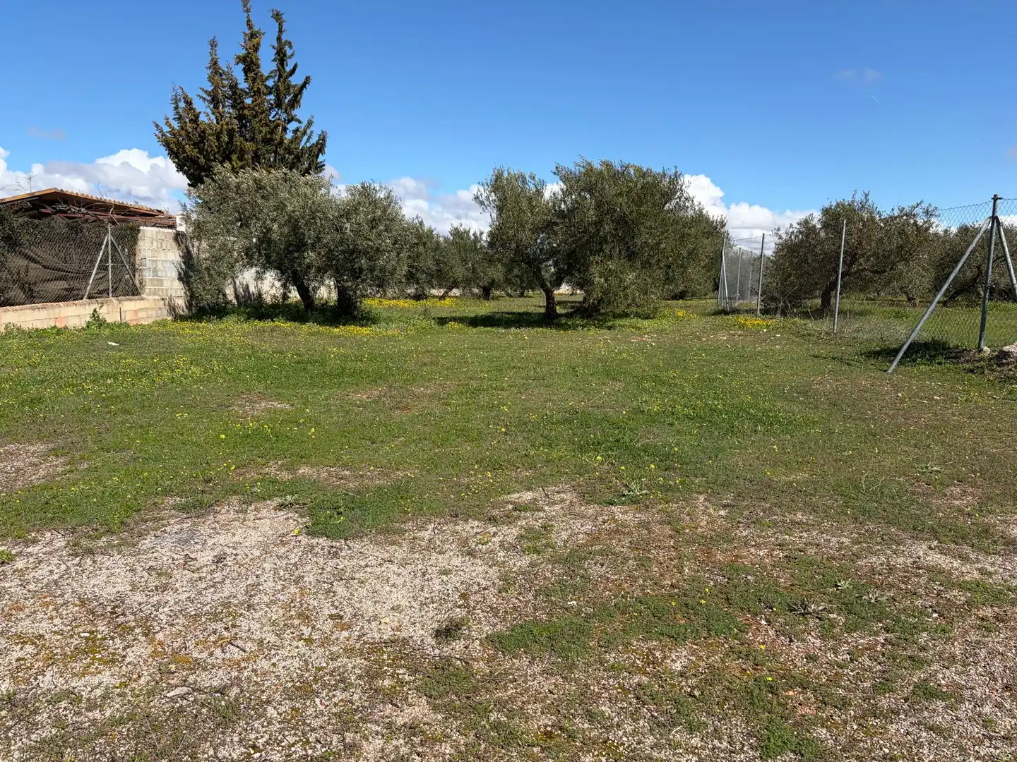 Finca rústica en venta en Iznalloz