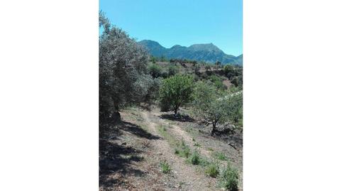 Photo 3 of Residential for sale in Casarabonela, Málaga