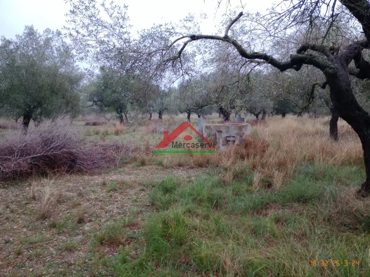 Finca rústica en venta en Vinaròs