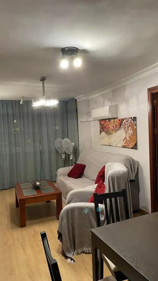 Sala d'estar de Pis de lloguer en Sevilla amb Aire condicionat i Moblat