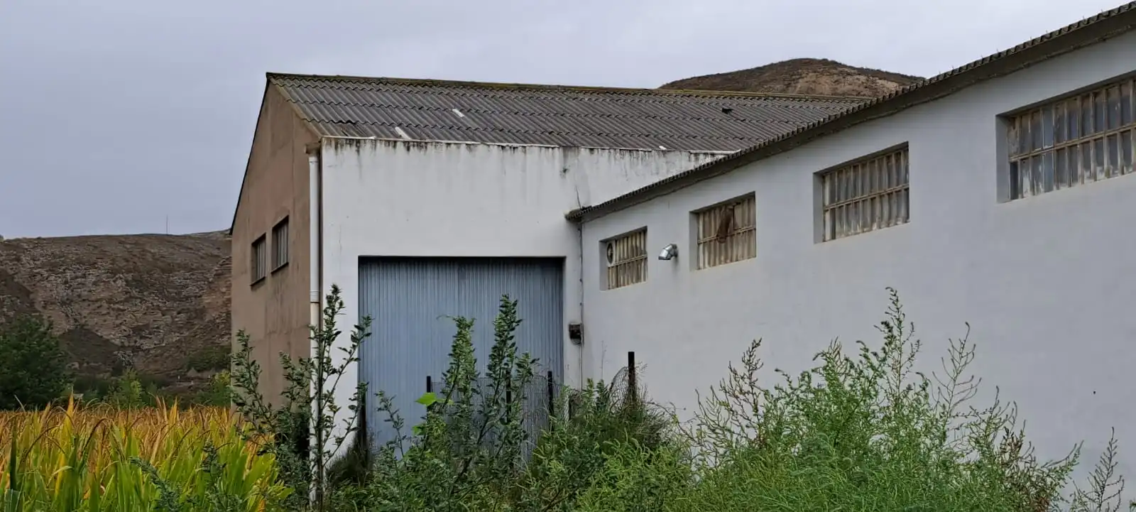 Exterior view of Industrial buildings for sale in Calatayud