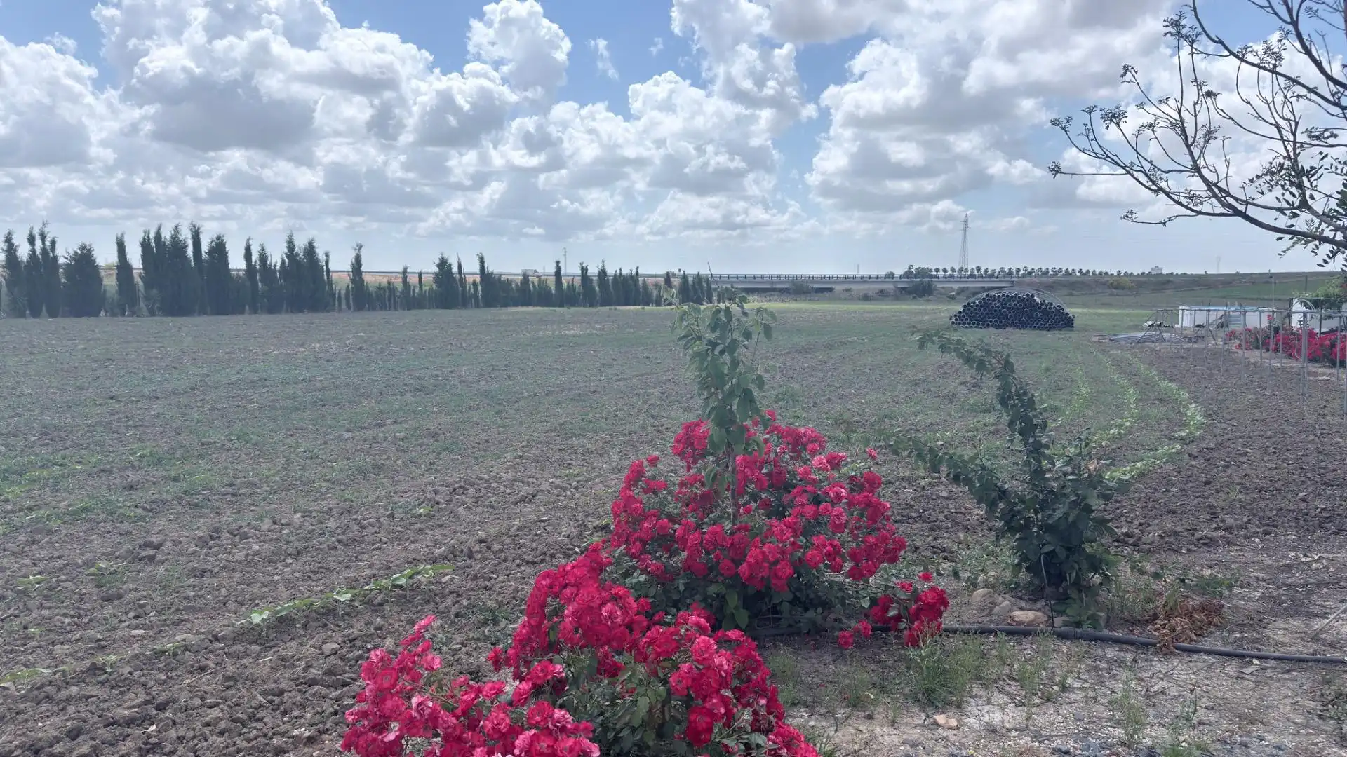 Terreni e lotti in vendita a San Juan del Puerto, imagen 48