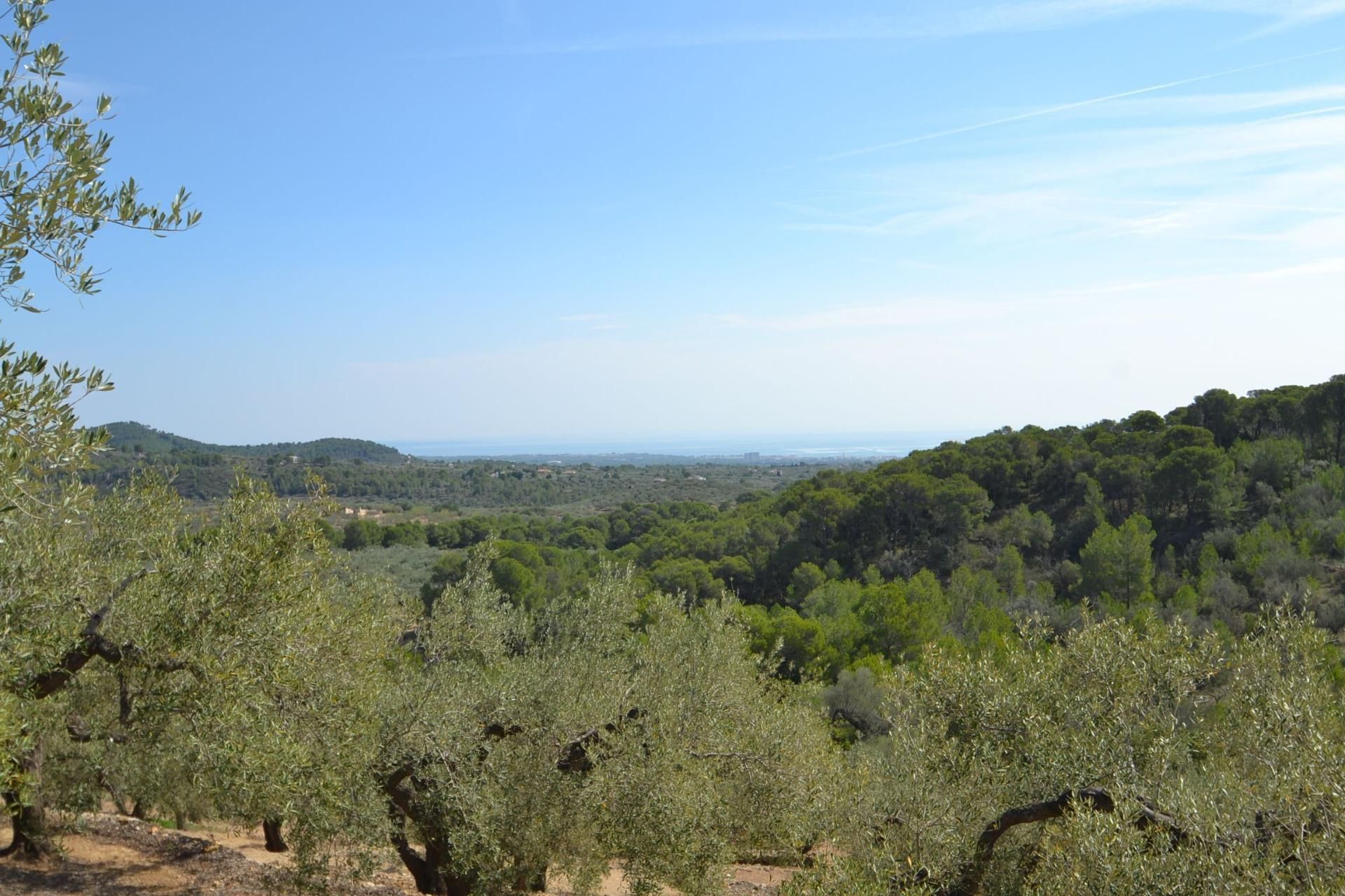 Finca rústica en venda en Tortosa amb Jardí privat