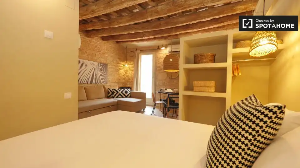 Appartamento con terrazza in affitto a Ciutat Vella, imagen 12