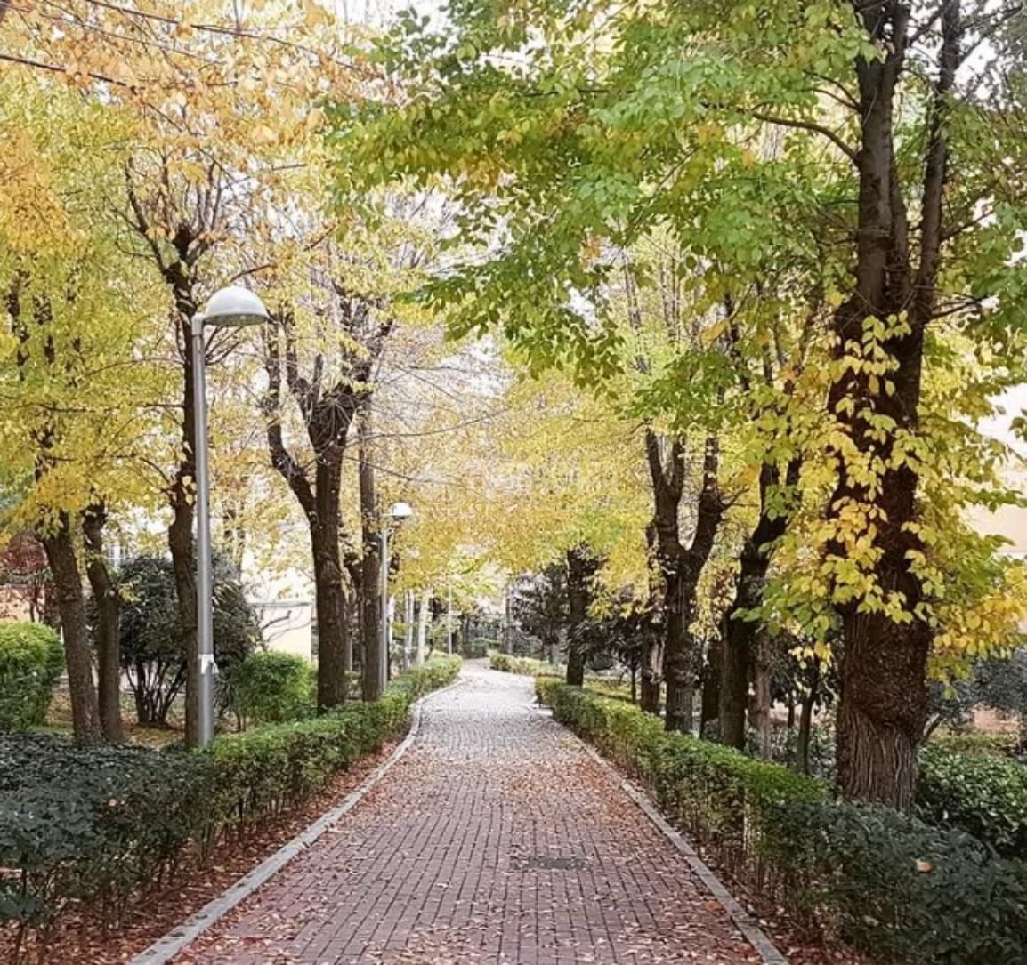 Pis de lloguer a Salvador, San Blas