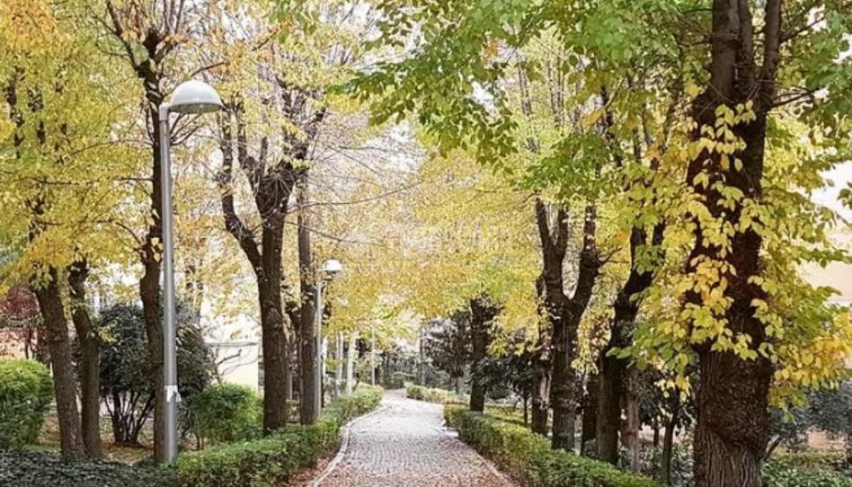 Foto 1 de Pis de lloguer a Salvador, Madrid