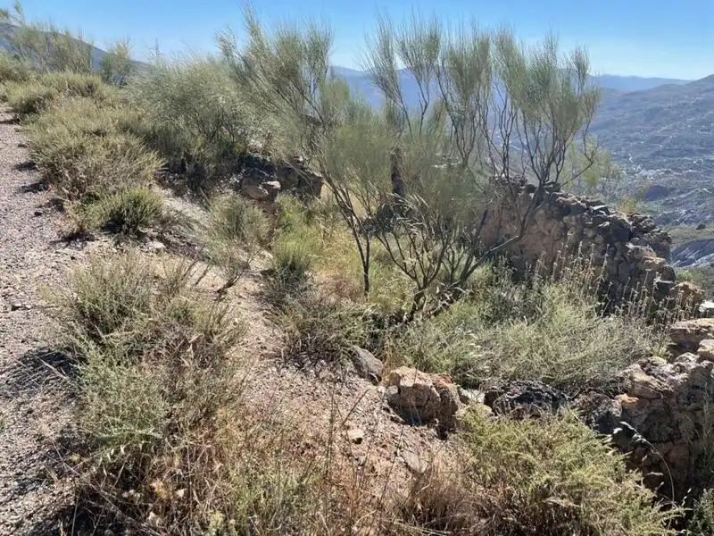 Terrenos y solares en venta en Poligono Megalites, imagen 3