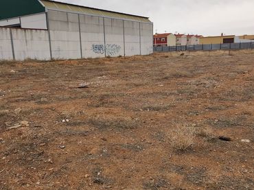 Terreno rustico in vendita a Calle Norte 37D