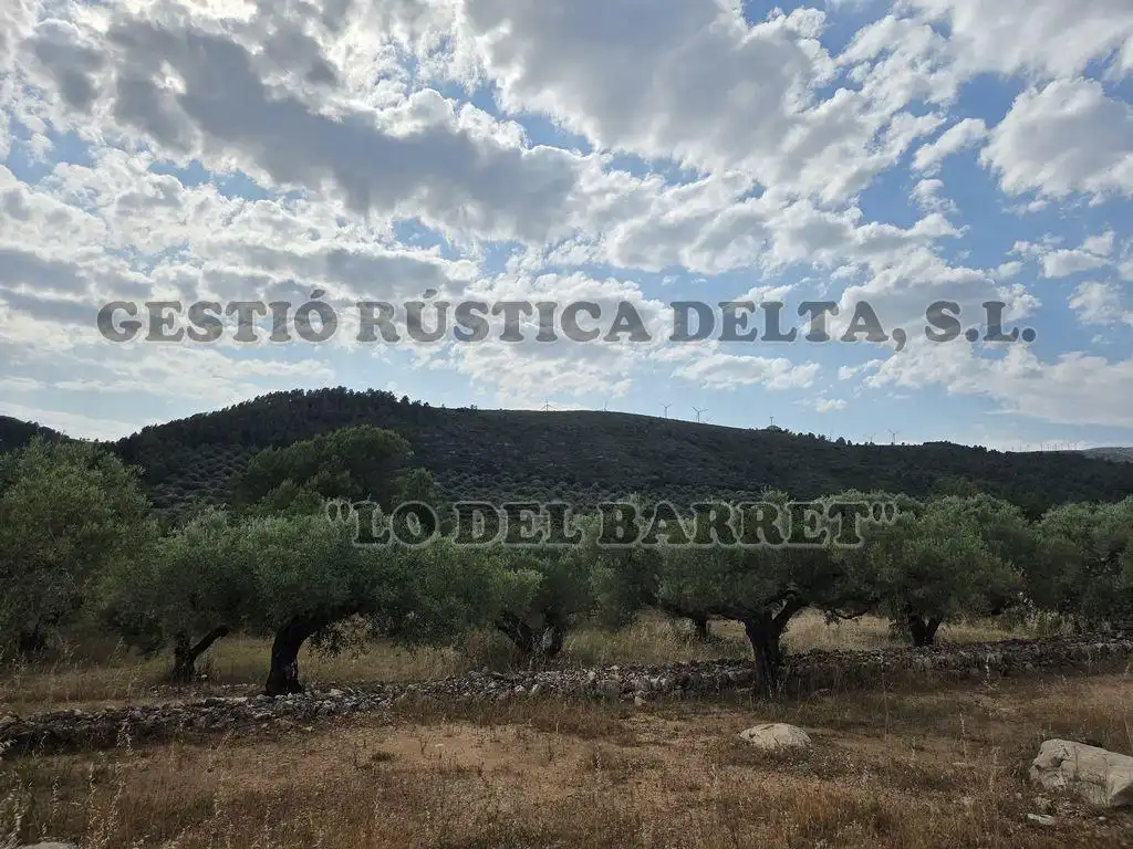 Finca rústica en venda en El Perelló