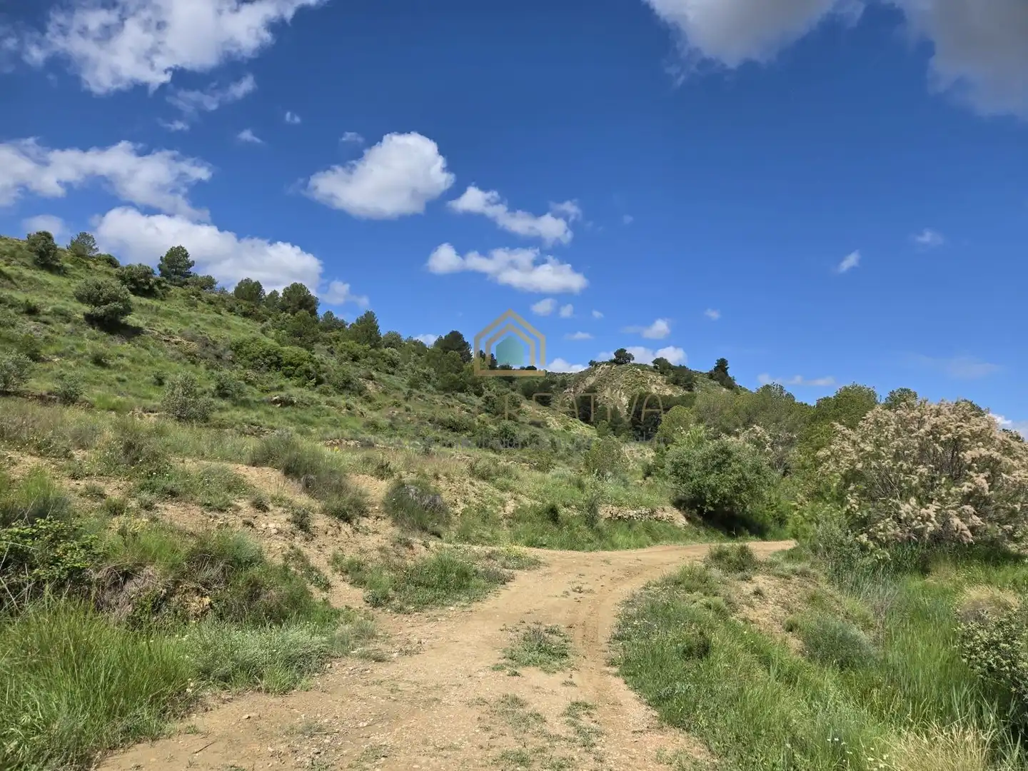 Xalet amb piscina en venda a POLIGONO 15, PARCELA 295, EL RINCON 0, imagen 60