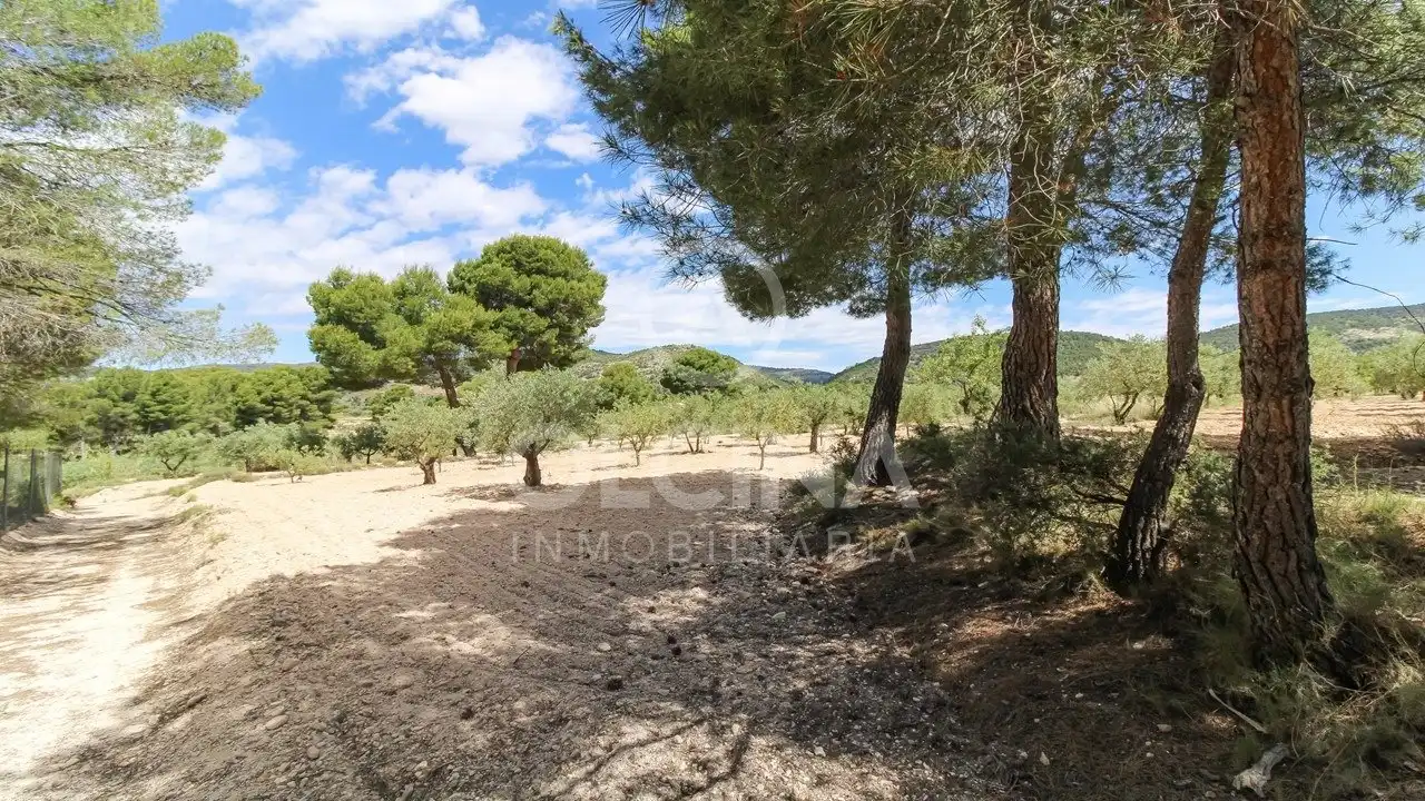 Finca rústica en venta en Onil con Aire acondicionado y Terraza
