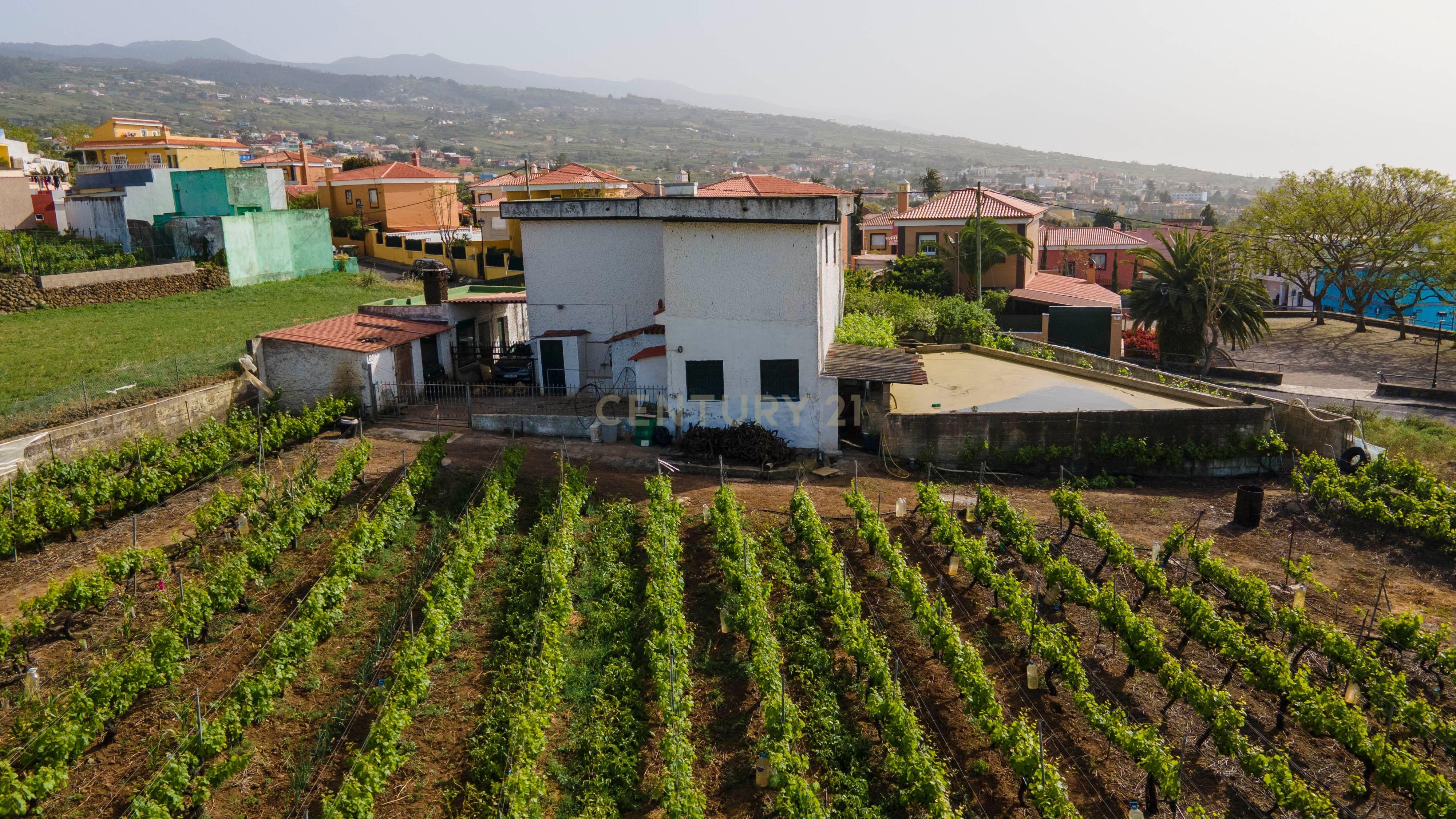 Casa o xalet en venda en Tacoronte amb Forn, Rentadora i TV