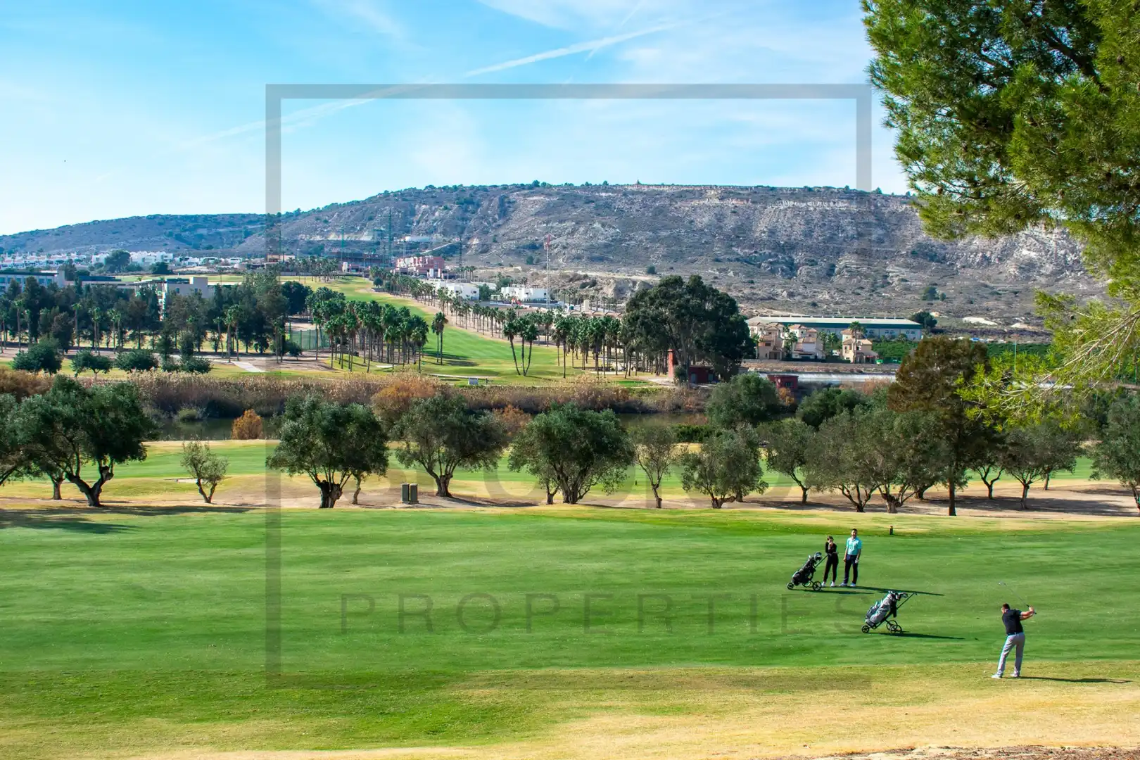 Casa con piscina en venta en Algorfa, imagen 82