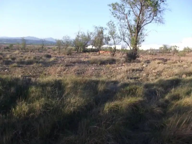 Terreny rústic en venda a PARCELA, imagen 4