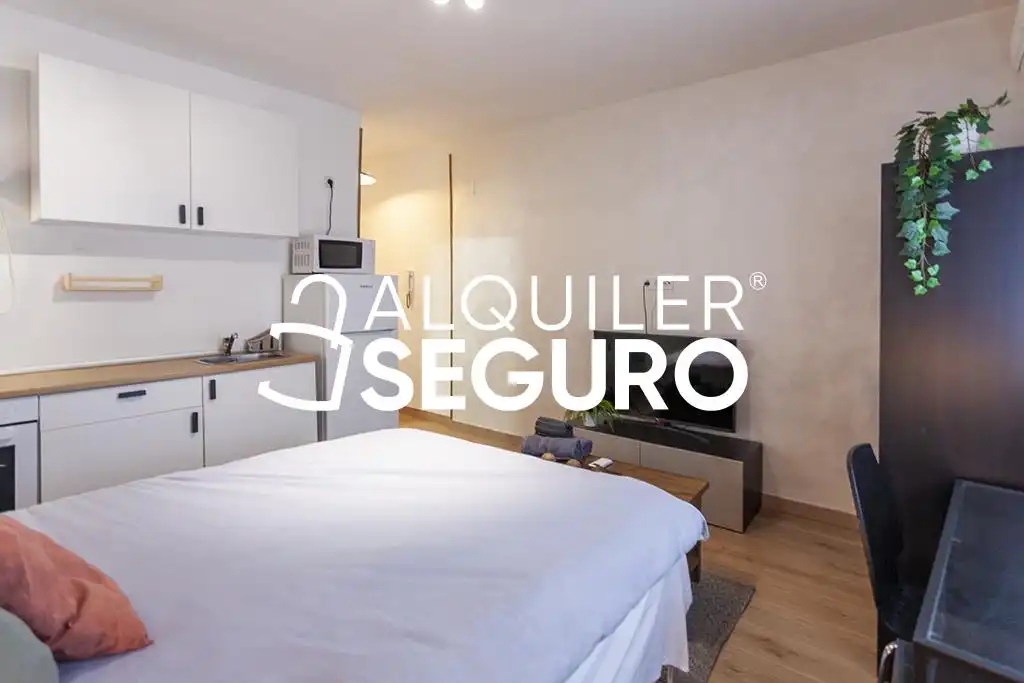 Wohnung zur Miete in del Oso, Embajadores - Lavapiés