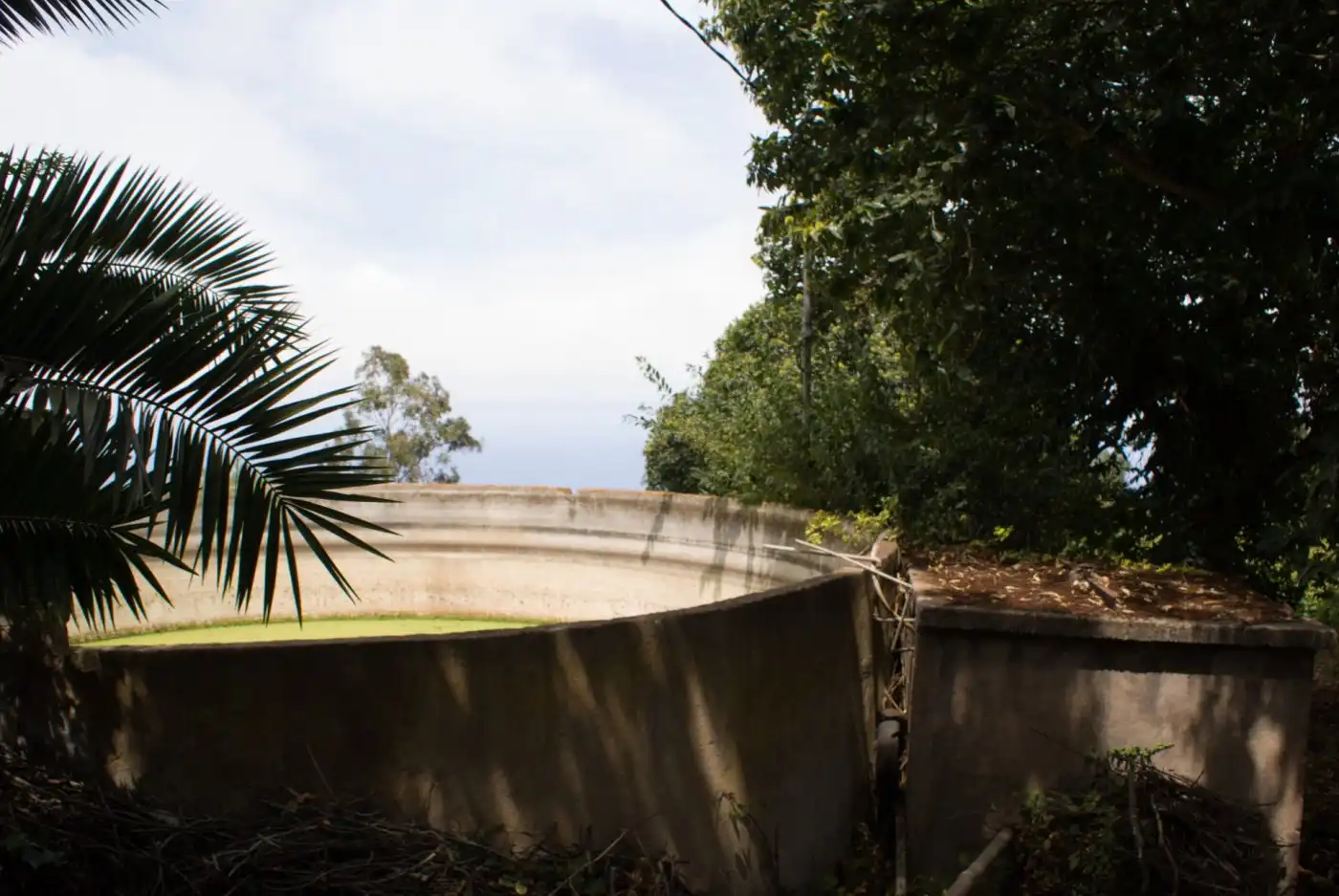 Jardí de Terreny en venda en El Sauzal