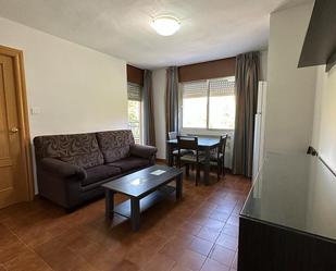 Living room of Flat to rent in  Granada Capital  with Heating, Furnished and Washing machine