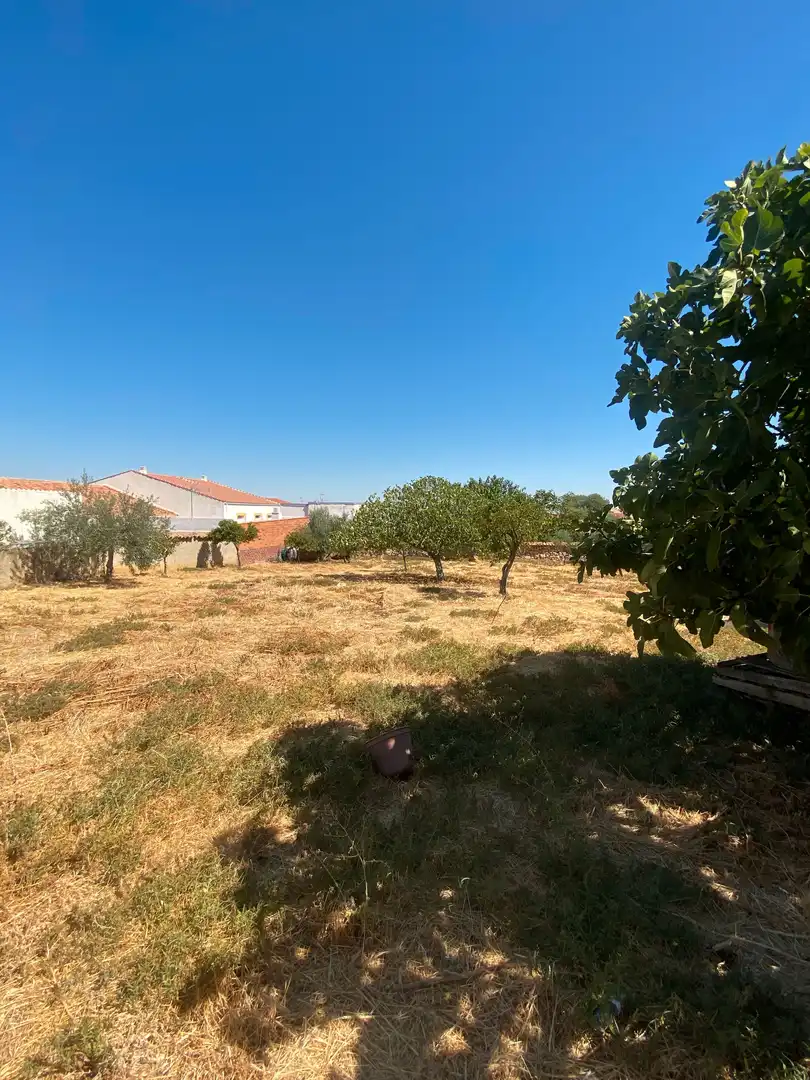 Finca rústica en venda en Cabeza del Buey amb Traster