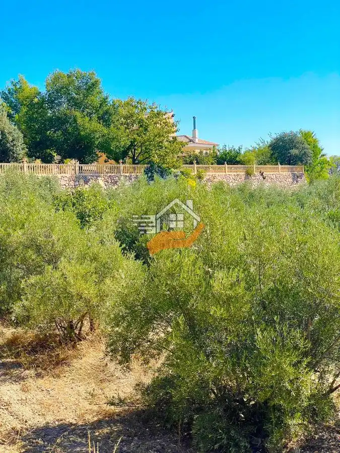 Residential land for sale in Vélez-Rubio, imagen 10