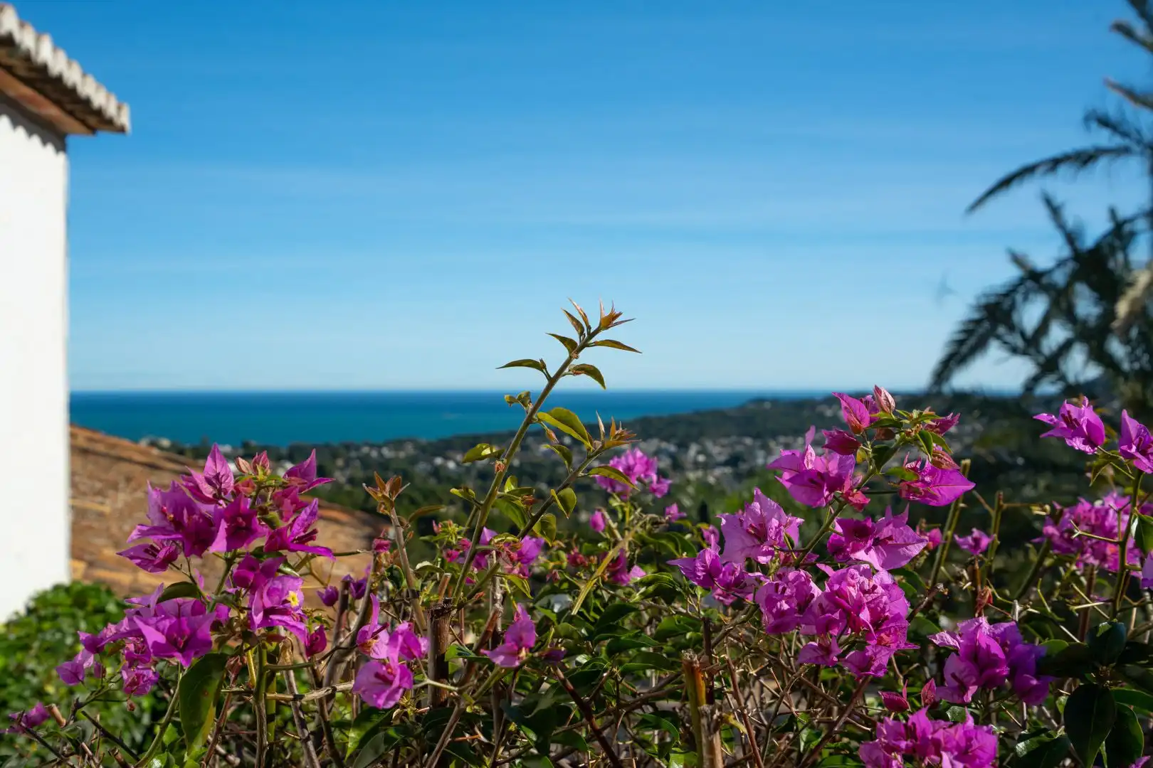 Garden of Houses for sale in Jávea / Xàbia  with Private garden, Terrace and Swimming Pool