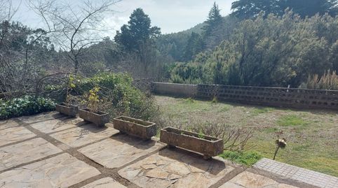 Foto 3 de Finca rústica en venta en El Sauzal, Santa Cruz de Tenerife