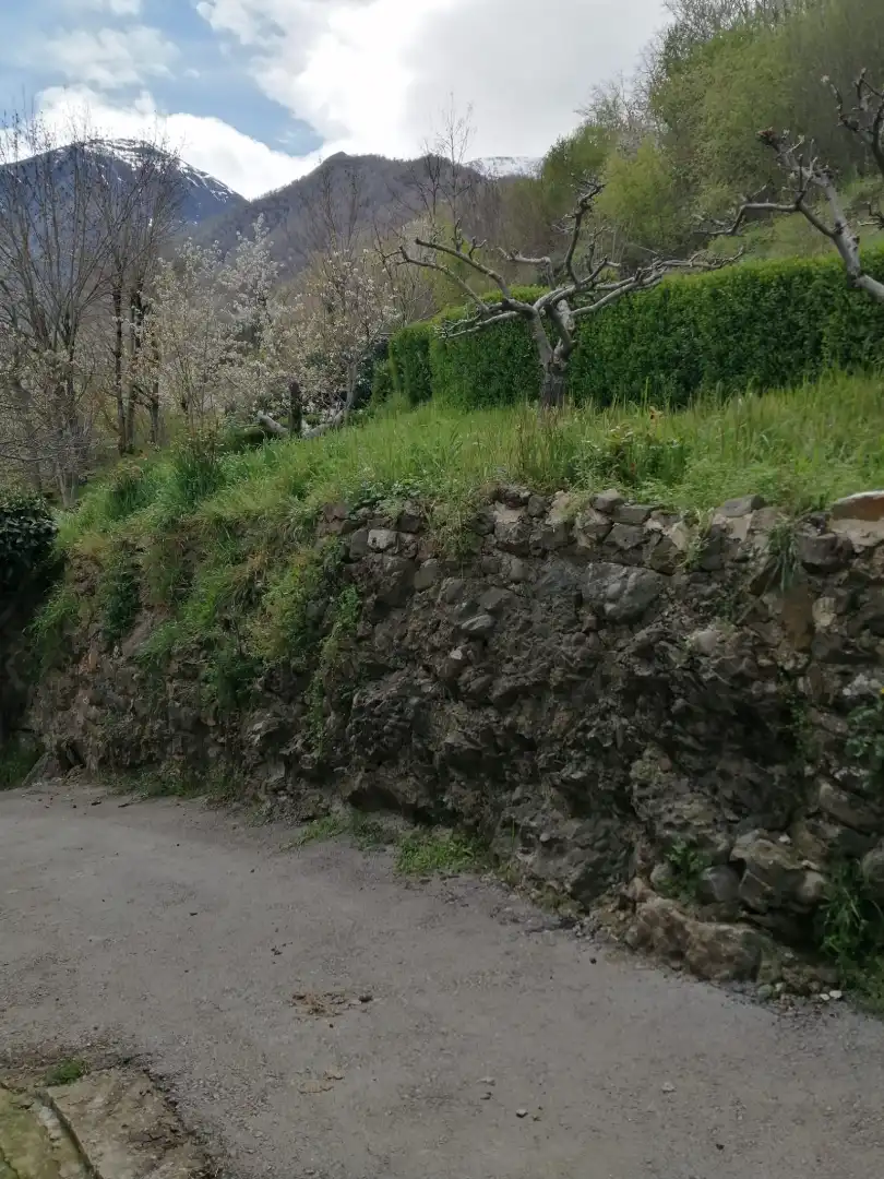 Vista exterior de Casa o xalet en venda en Vega de Liébana amb Jardí privat, Moblat i Balcó
