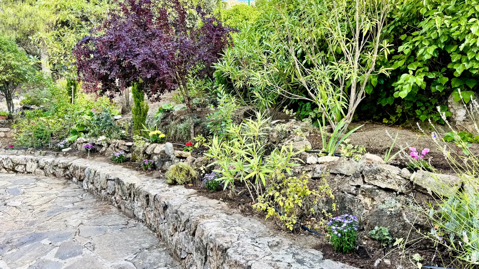 Jardí de Casa o xalet en venda en Collado Villalba amb Calefacció, Jardí privat i Terrassa