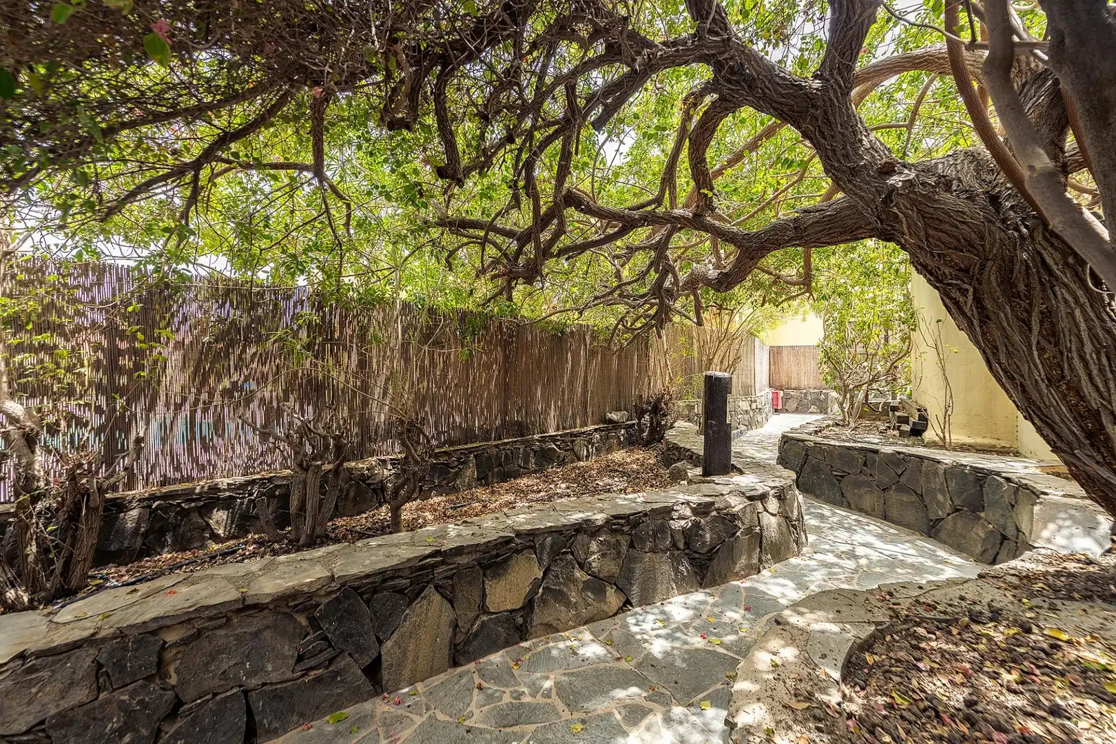 Jardín de Casa o chalet en venta en San Bartolomé de Tirajana con Jardín privado, Terraza y Piscina comunitaria